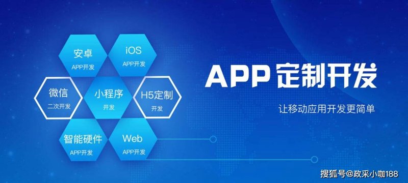 随着信息技术的迅猛发展，网络科技公司的角色和作用愈发重要。